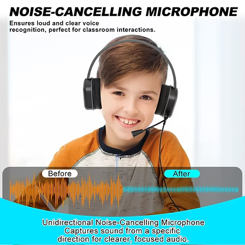 TechProtectus USB Type C Headphone with a Boom Microphone